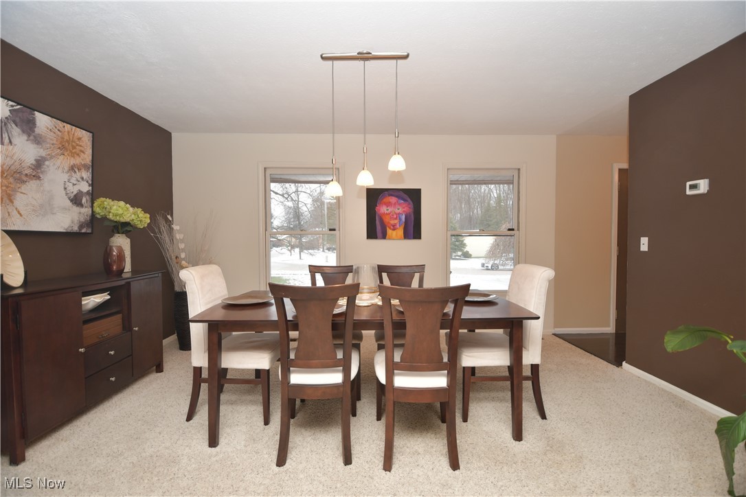 7894 Chapelway Drive Mentor OH 44060