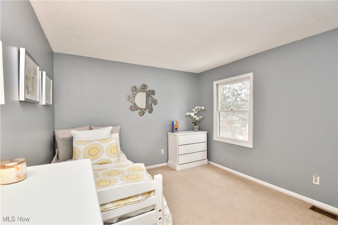 7894 Chapelway Drive Mentor OH 44060