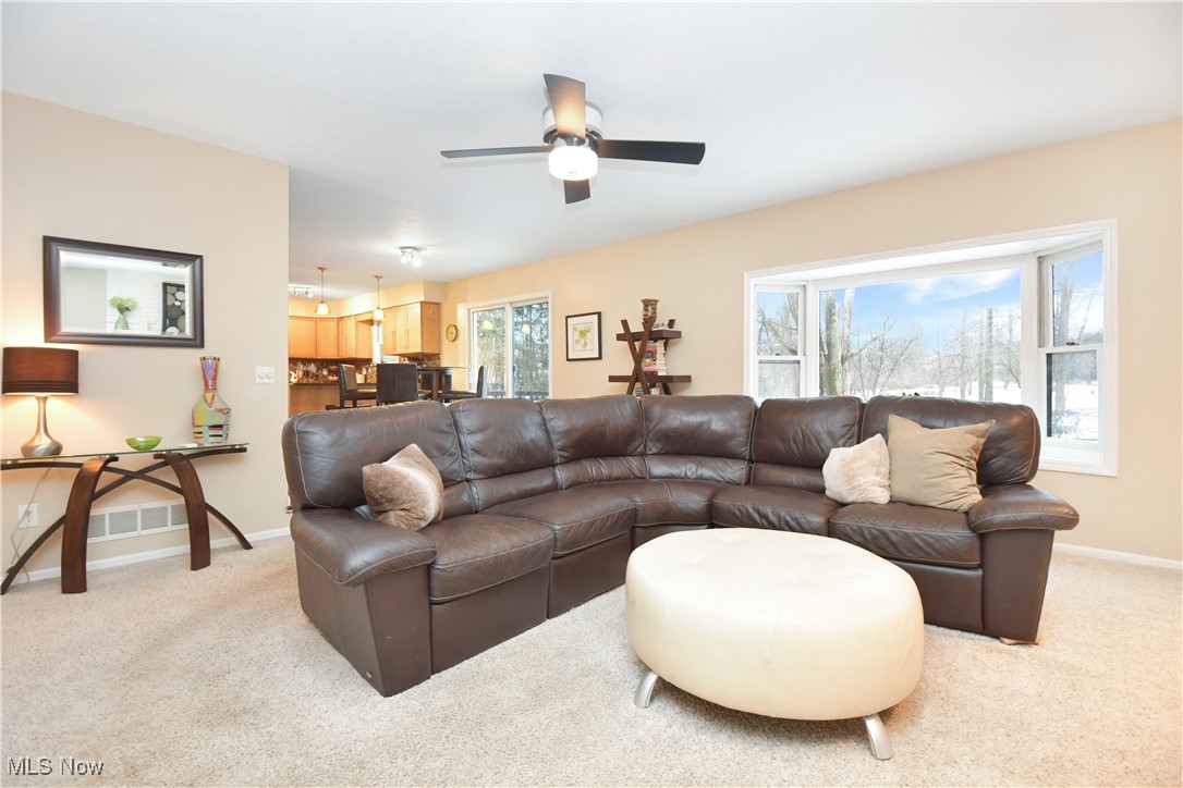 7894 Chapelway Drive Mentor OH 44060