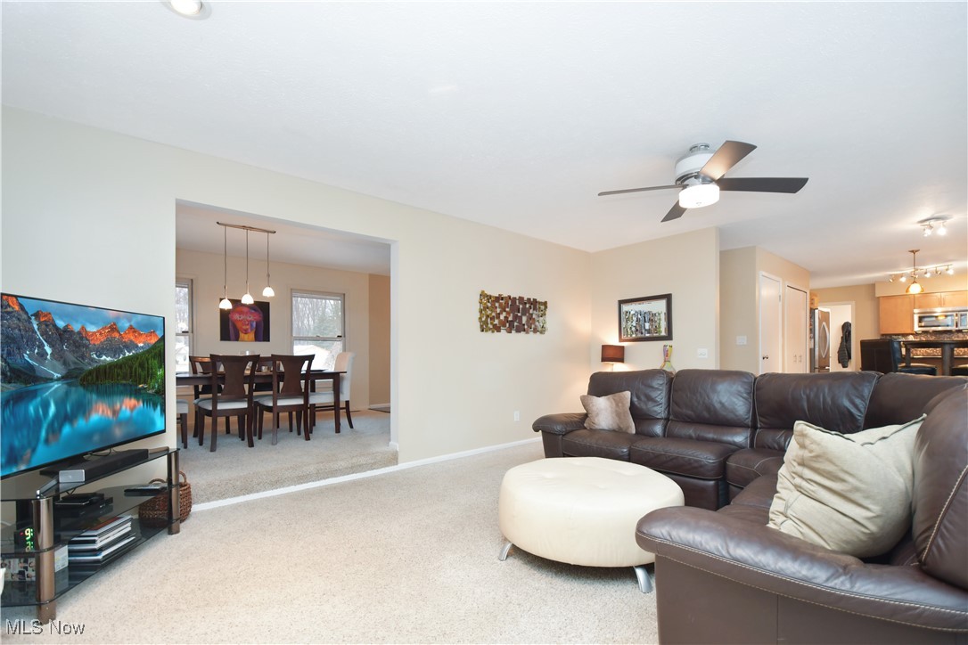 7894 Chapelway Drive Mentor OH 44060