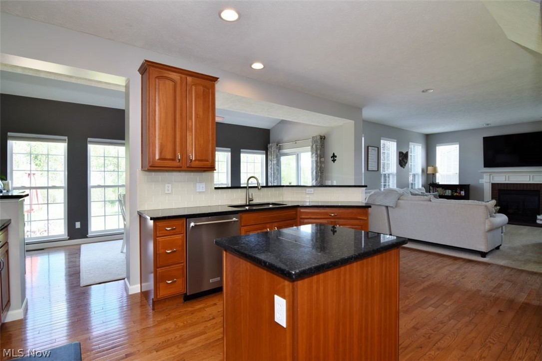 4205 Morley Drive Aurora OH 44202