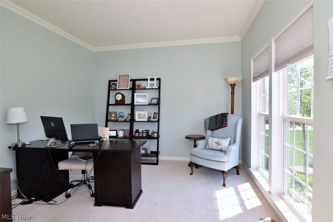4205 Morley Drive Aurora OH 44202