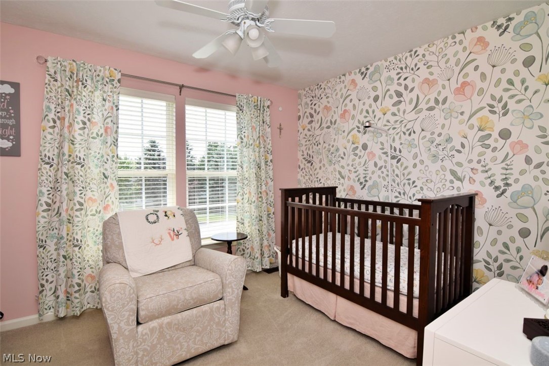 4205 Morley Drive Aurora OH 44202