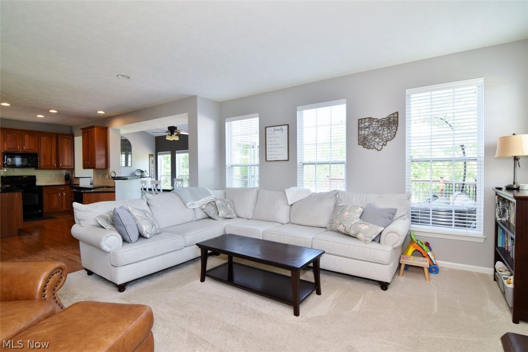 4205 Morley Drive Aurora OH 44202