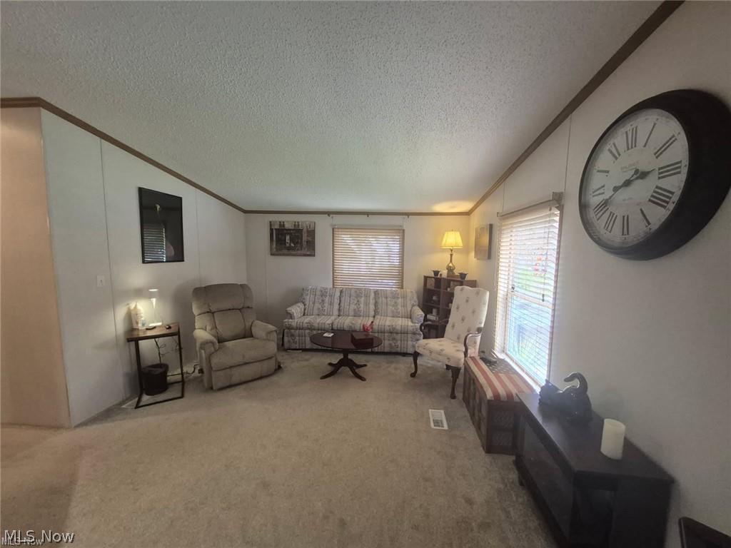 208 Birchbark Drive Elyria OH 44035