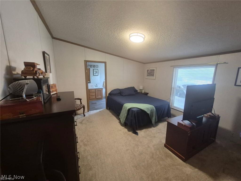 208 Birchbark Drive Elyria OH 44035