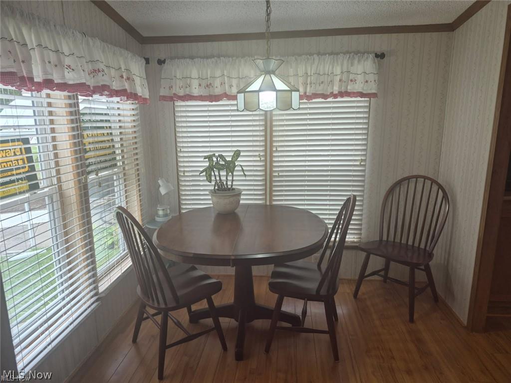 208 Birchbark Drive Elyria OH 44035