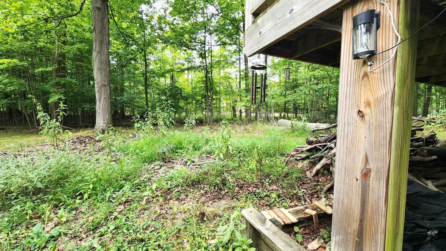 7344 Ballash Road Medina OH 44256