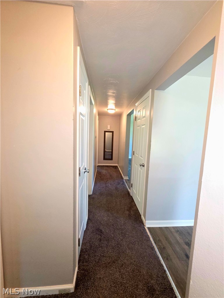 329 Thomas Street Wintersville OH 43953