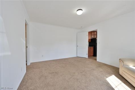 29 Carl Lane Olmsted Twp OH 44138