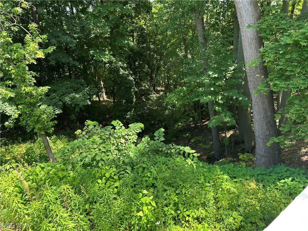 114 Grandview Avenue Conneaut OH 44030