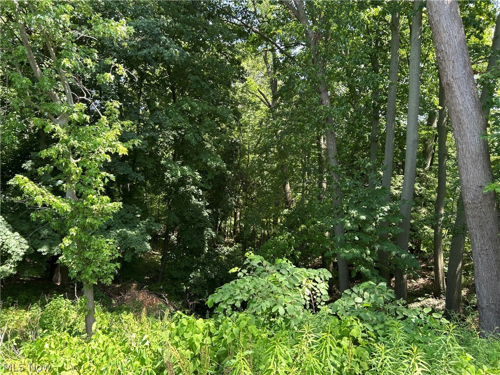 114 Grandview Avenue Conneaut OH 44030