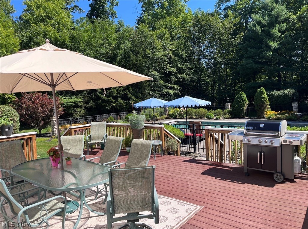 7895 Arlington Drive Chesterland OH 44026