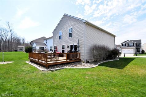 10411 Redbud Drive Aurora OH 44202