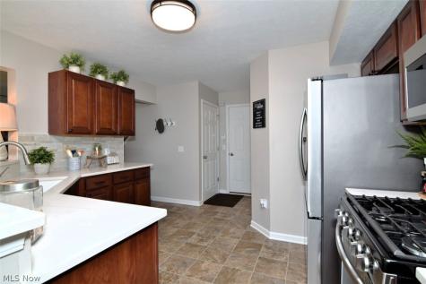 10411 Redbud Drive Aurora OH 44202