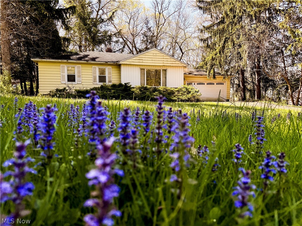 9187 Wallings Road North Royalton OH 44133