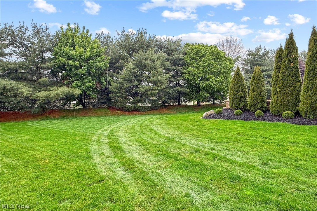 7679 Fiddler Court Circle NE Canton OH 44721