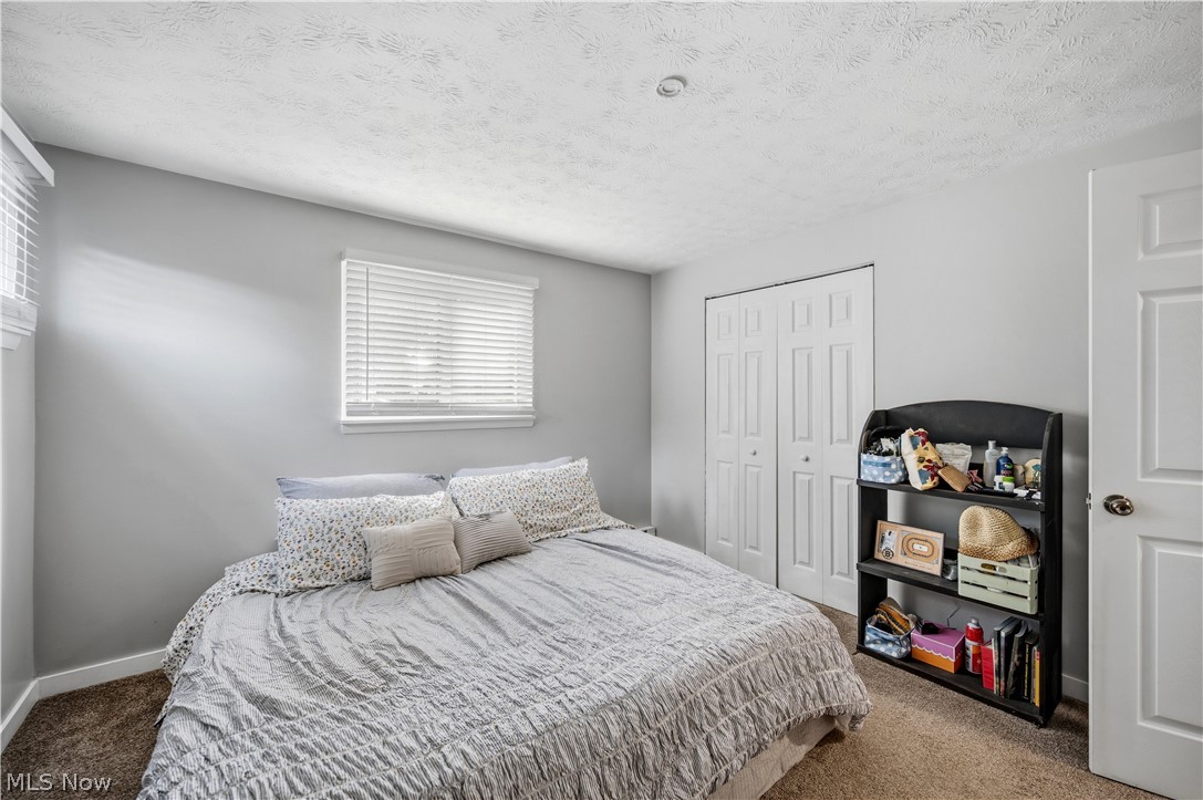 1004 Plymouth Drive Grafton OH 44044