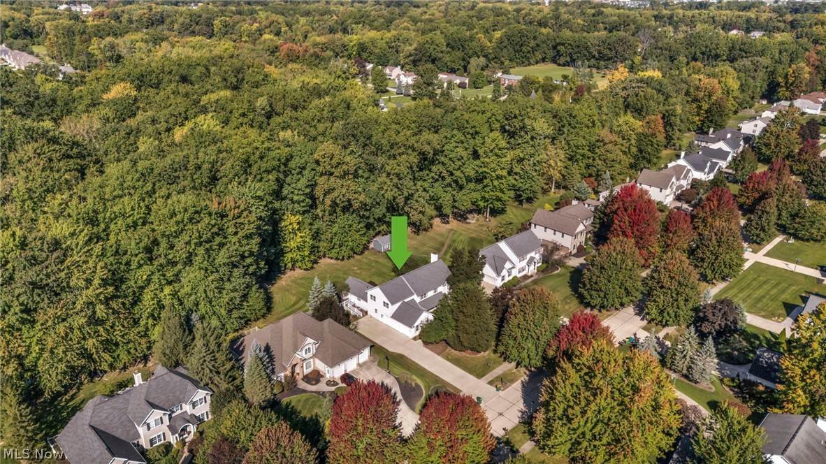 7732 Debonaire Drive Mentor OH 44060