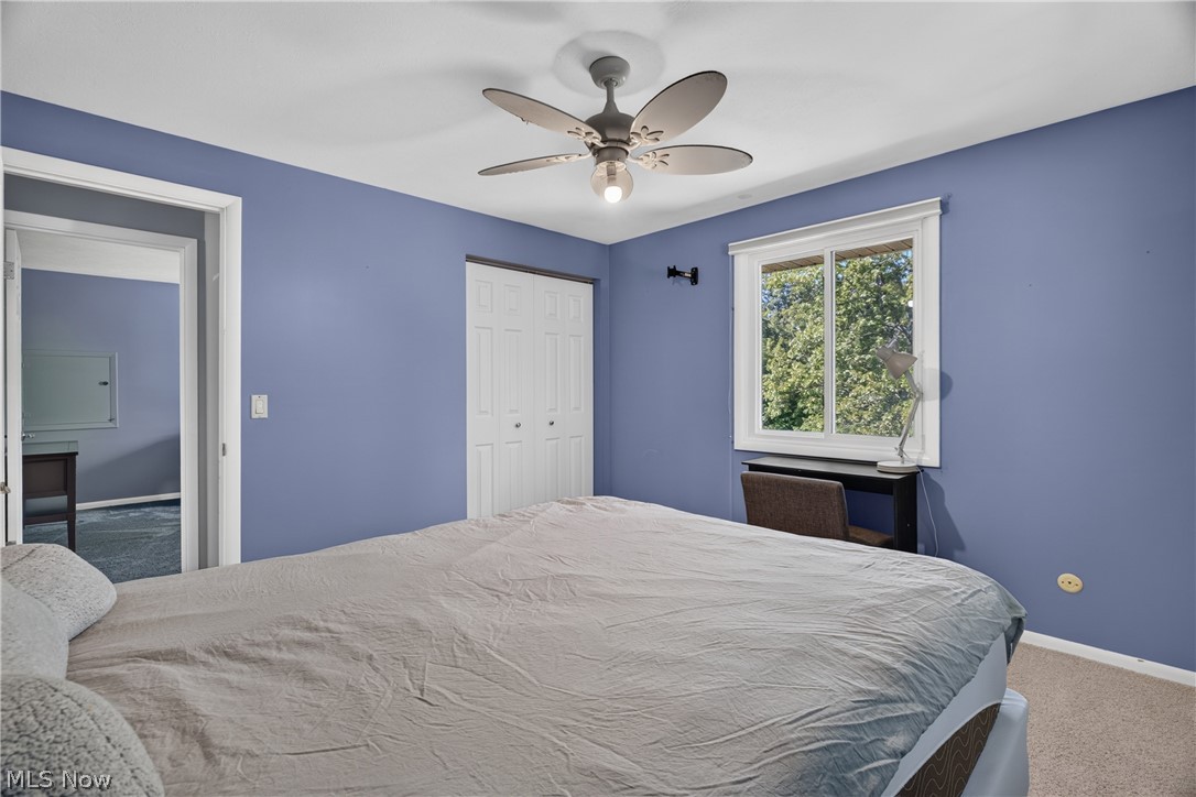 6613 Brookside Road Independence OH 44131
