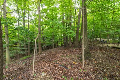 12101 The Bluffs Strongsville OH 44136