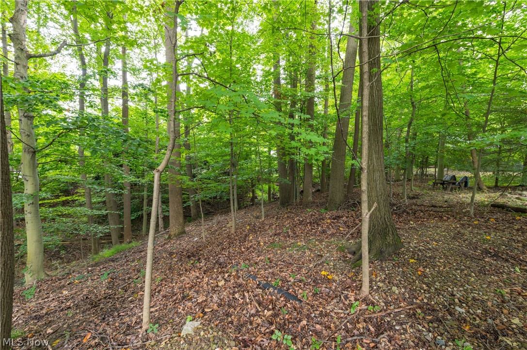 12101 The Bluffs Strongsville OH 44136