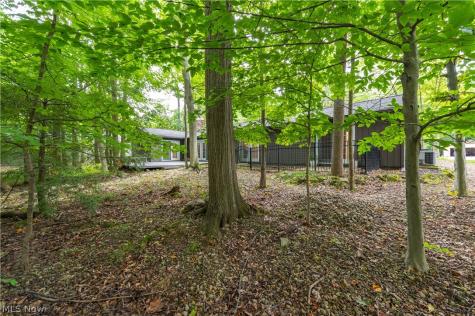 12101 The Bluffs Strongsville OH 44136