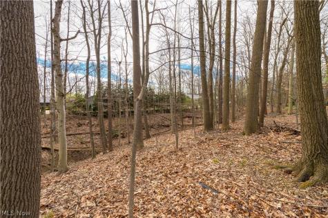 12101 The Bluffs Strongsville OH 44136