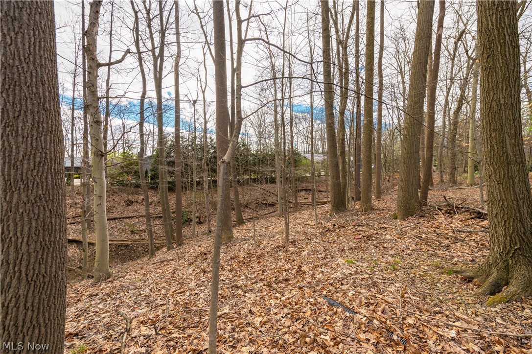 12101 The Bluffs Strongsville OH 44136