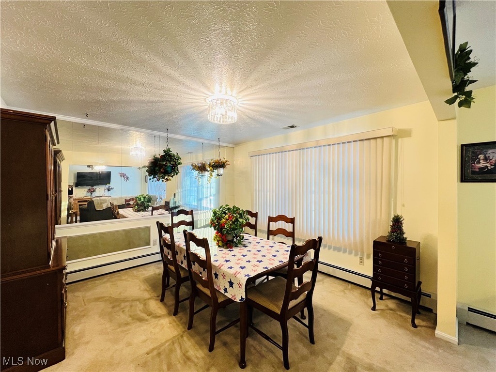 5126 Chestnut Hill Drive Ashtabula OH 44004