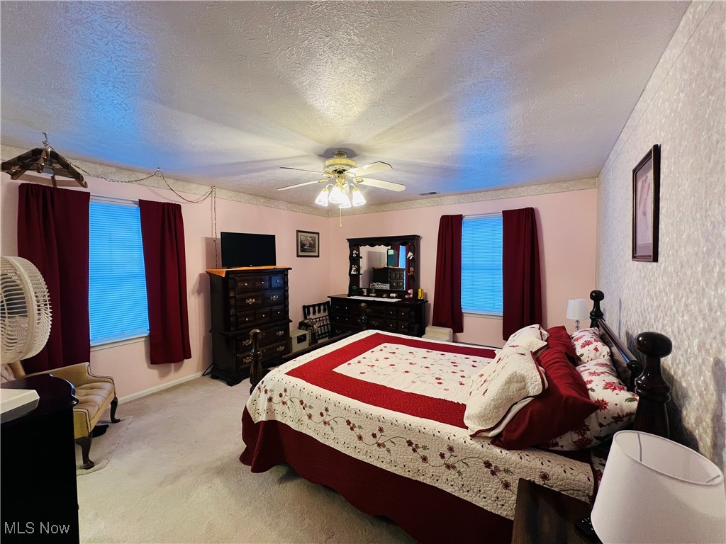 5126 Chestnut Hill Drive Ashtabula OH 44004