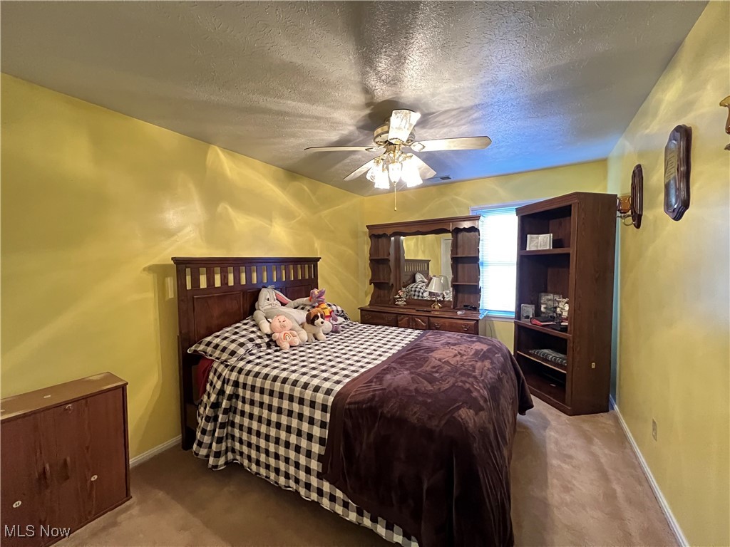 5126 Chestnut Hill Drive Ashtabula OH 44004