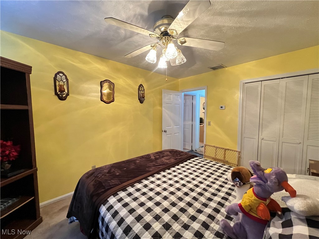 5126 Chestnut Hill Drive Ashtabula OH 44004