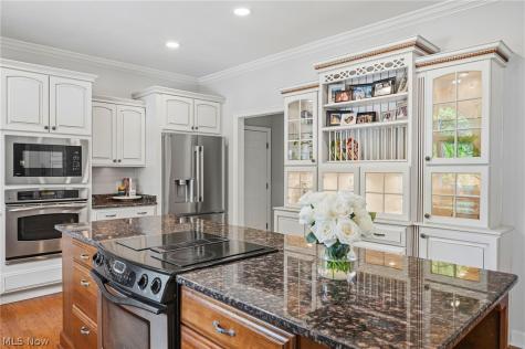 6542 Hammontree Drive Hudson OH 44236