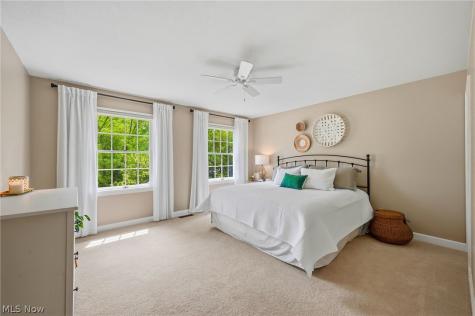 6542 Hammontree Drive Hudson OH 44236