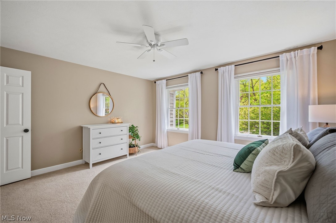 6542 Hammontree Drive Hudson OH 44236