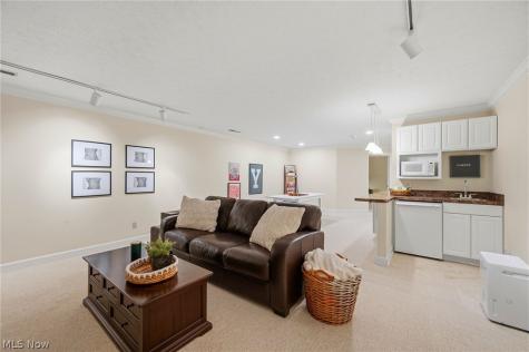 6542 Hammontree Drive Hudson OH 44236