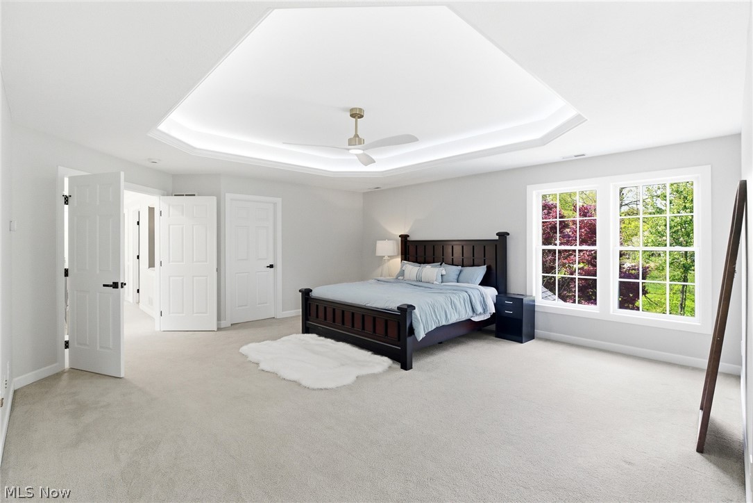 315 Ruby Lane Streetsboro OH 44241