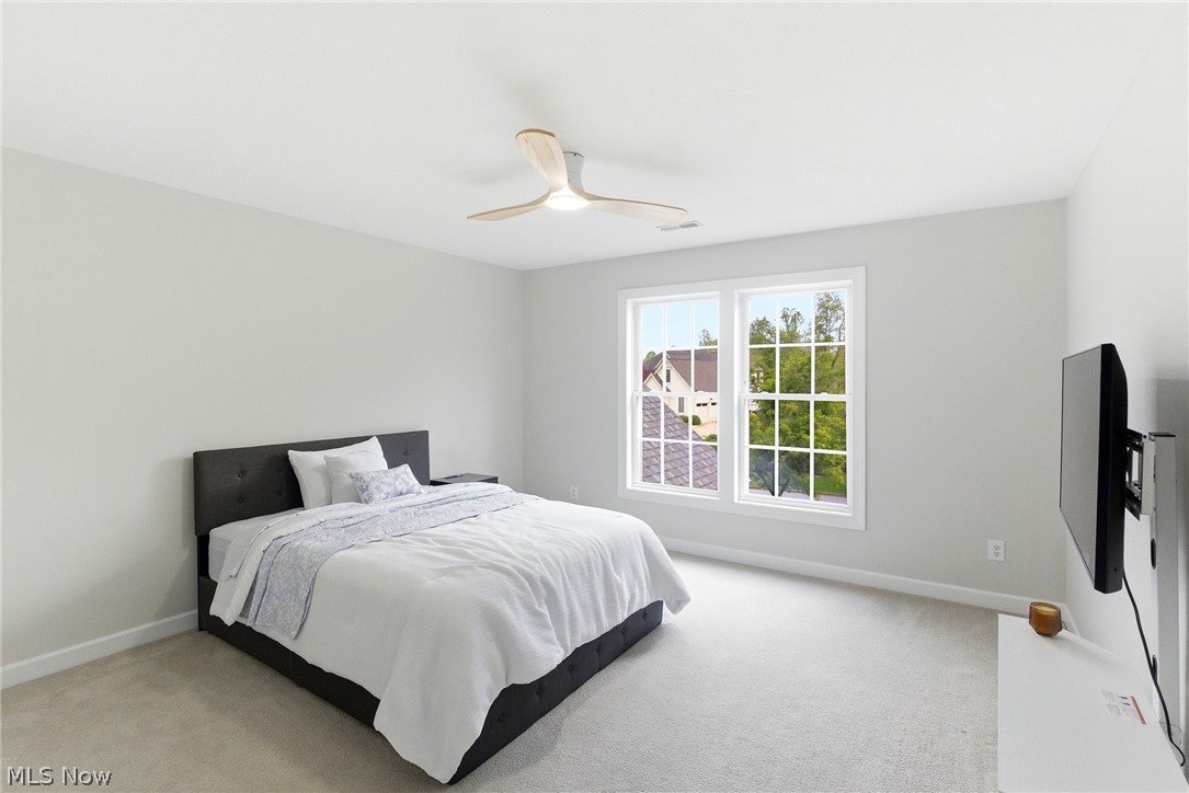 315 Ruby Lane Streetsboro OH 44241