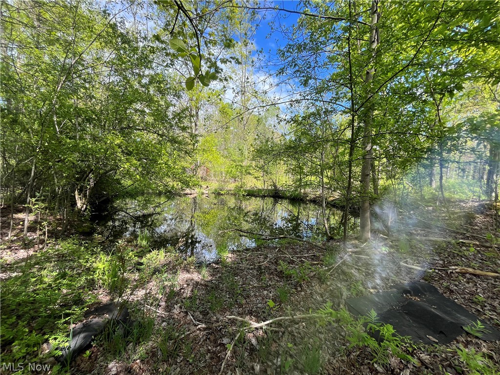 15829 Moseley Road Madison OH 44057