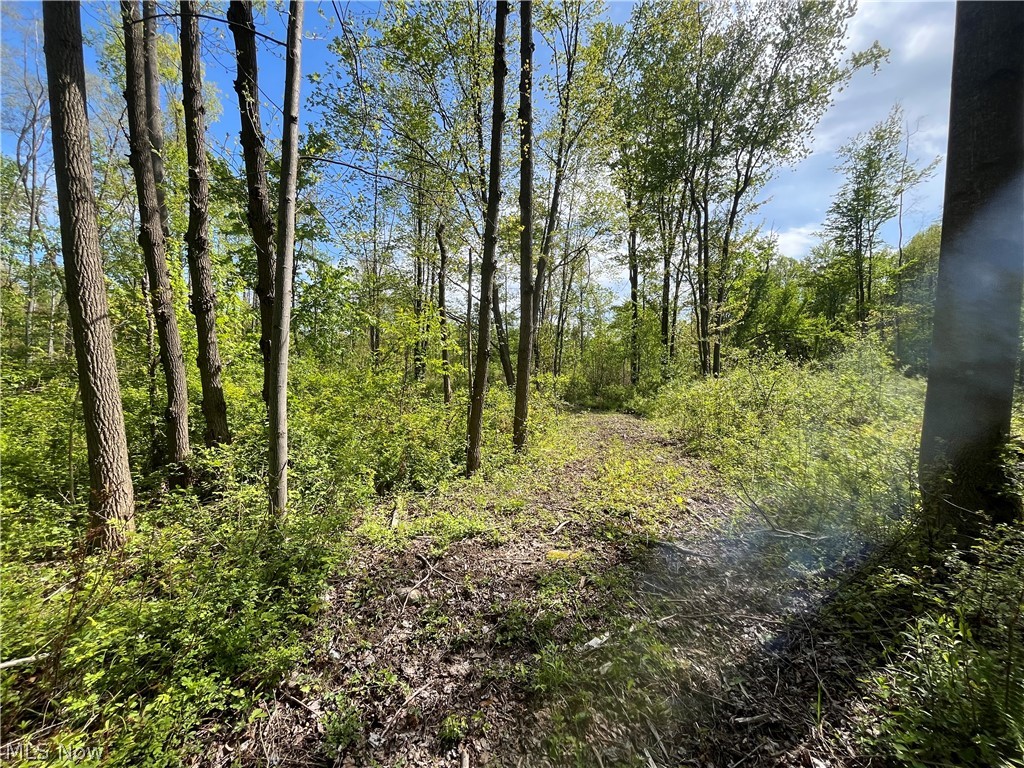 15829 Moseley Road Madison OH 44057