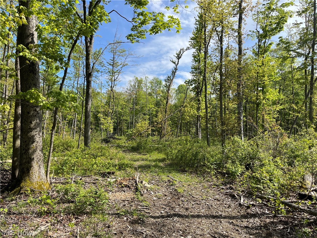 15829 Moseley Road Madison OH 44057