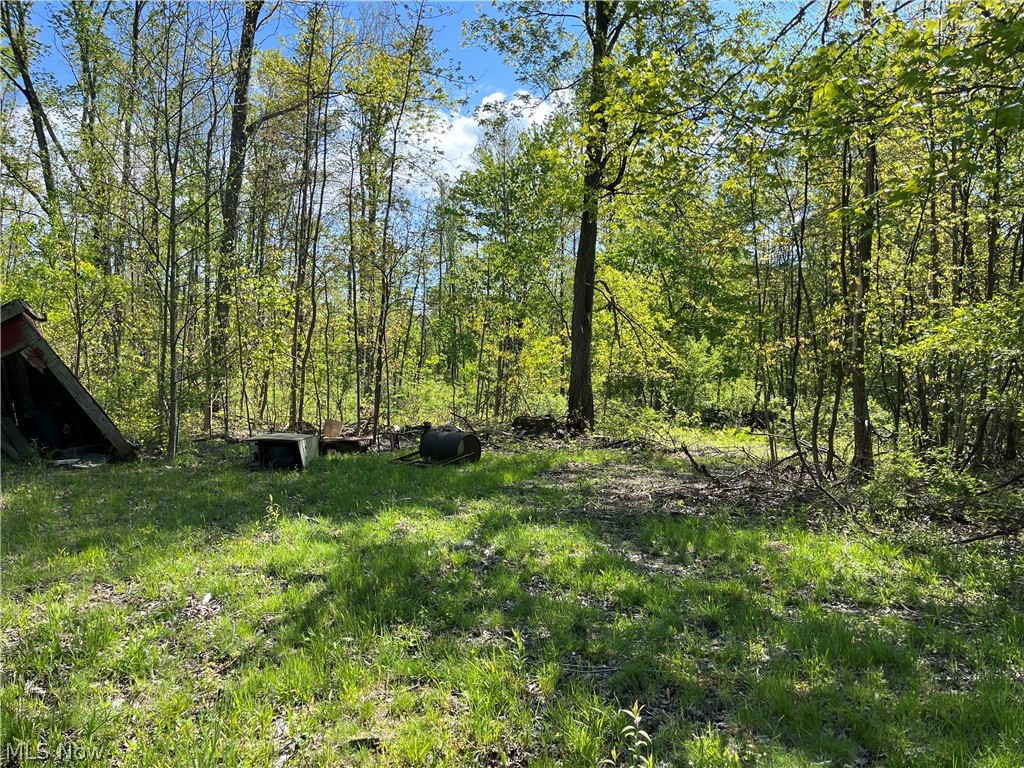 15829 Moseley Road Madison OH 44057