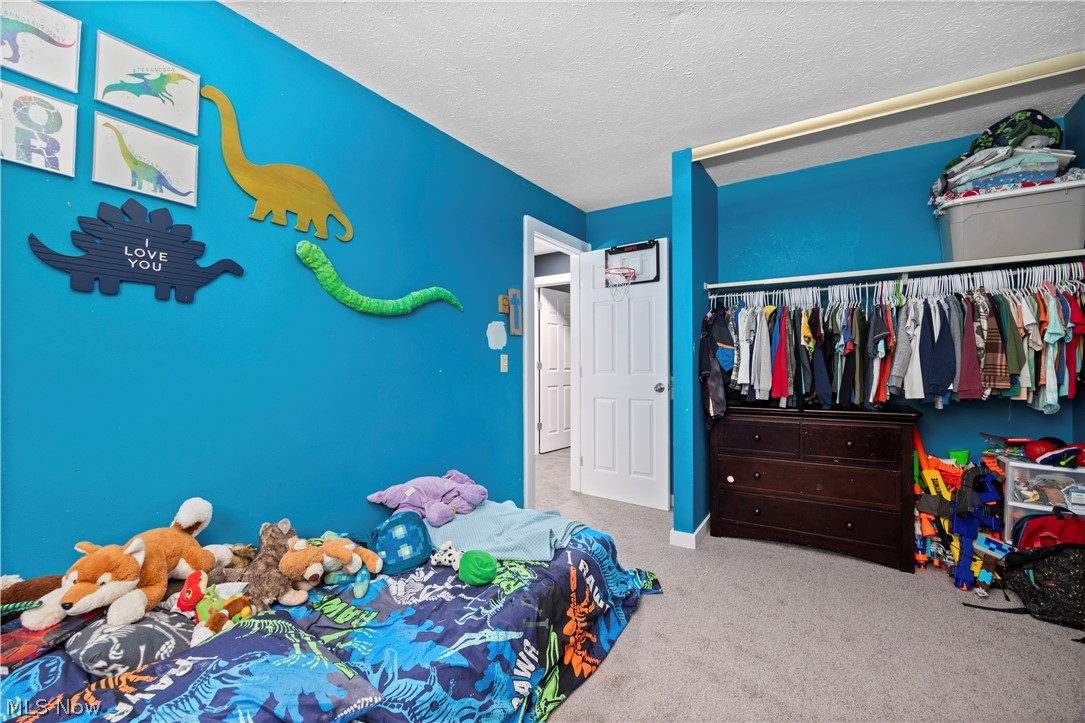 3902 Oxford Drive Lorain OH 44053