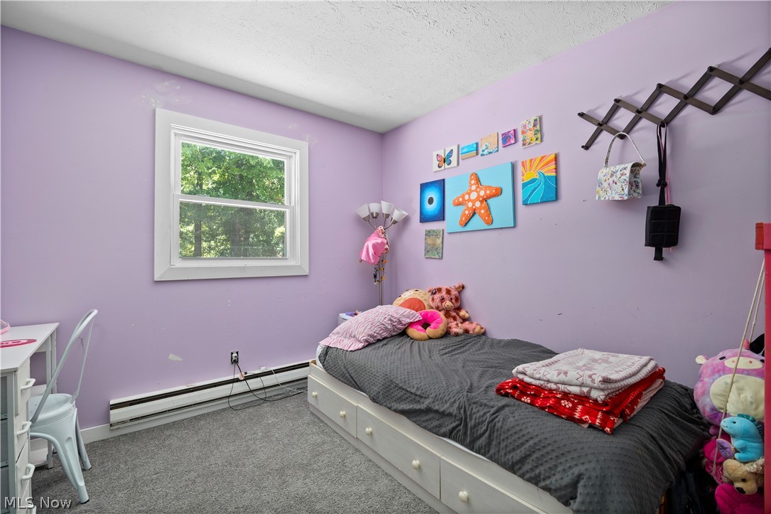 3902 Oxford Drive Lorain OH 44053