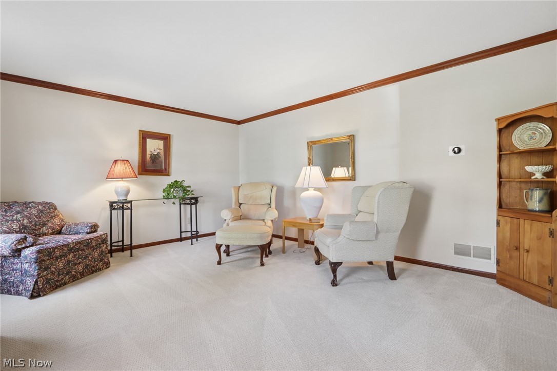 5223 Brandonway Court Dublin OH 43017