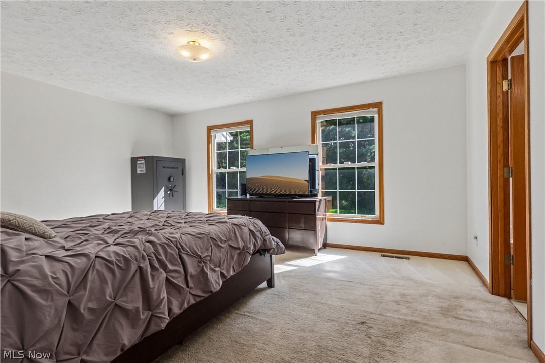 15545 Windmill Point Road Huntsburg OH 44046