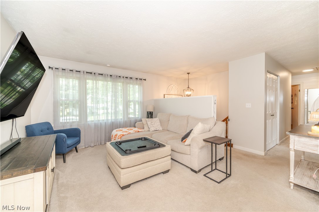4585 Alderwood Drive Canfield OH 44406