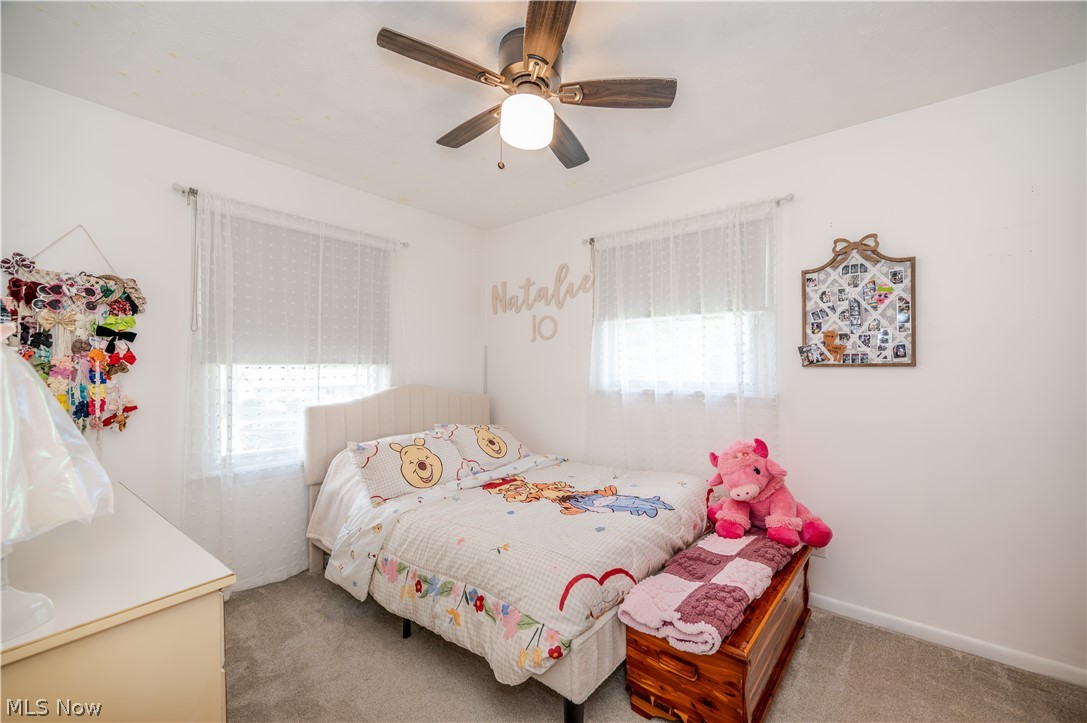 4585 Alderwood Drive Canfield OH 44406