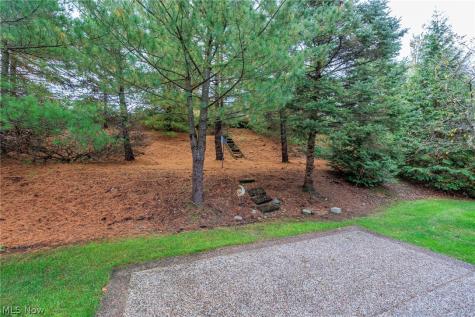 3973 Dogleg Trail Medina OH 44256